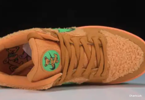 Grateful Low Orange Bear SB Dunk CJ5378-800 Nike Dead 0528